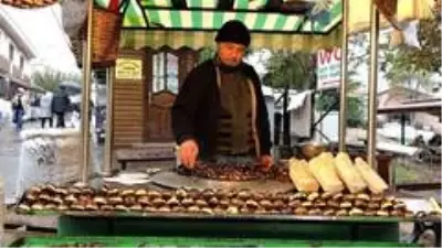 Fiyatı altınla yarışan kestanenin tanesi 1 liraya satılıyor Fiyatı altınla yarışan kestanenin tanesi 1 liraya satılıyor