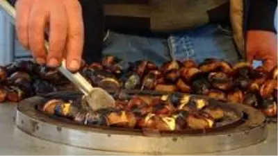 Fiyatı altınla yarışan kestanenin tanesi 1 liraya satılıyor Fiyatı altınla yarışan kestanenin tanesi 1 liraya satılıyor