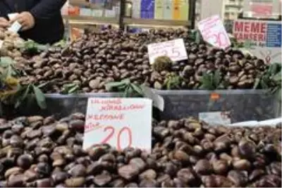 Fiyatı altınla yarışan kestanenin tanesi 1 liraya satılıyor Fiyatı altınla yarışan kestanenin tanesi 1 liraya satılıyor