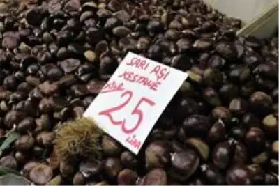 Fiyatı altınla yarışan kestanenin tanesi 1 liraya satılıyor Fiyatı altınla yarışan kestanenin tanesi 1 liraya satılıyor
