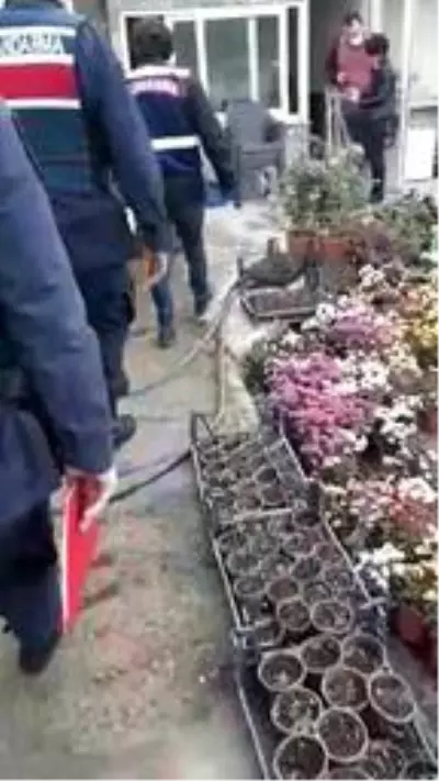 İzinsiz ve belgesiz üretim yapan seracılara 135 bin lira ceza İzinsiz ve belgesiz üretim yapan seracılara 135 bin lira ceza