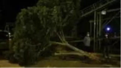Son dakika haberi... Kaldırımdaki yaya ile ağaca çarpan otomobilde yangın çıktı Son dakika haberi... Kaldırımdaki yaya ile ağaca çarpan otomobilde yangın çıktı