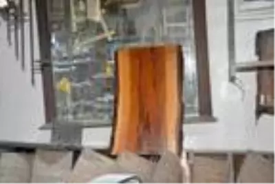 Kuruyan ağaç ve dallarını sanata dönüştürüyor Kuruyan ağaç ve dallarını sanata dönüştürüyor