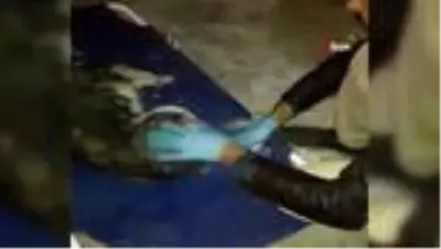 Otomobil çarpıp kaçtı, yaralı köpeğe belediye sahip çıktı Otomobil çarpıp kaçtı, yaralı köpeğe belediye sahip çıktı