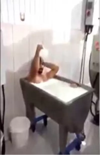 Süt kazanında banyo yapan ve görüntüyü kaydeden 2 kişi tutuklandı Süt kazanında banyo yapan ve görüntüyü kaydeden 2 kişi tutuklandı