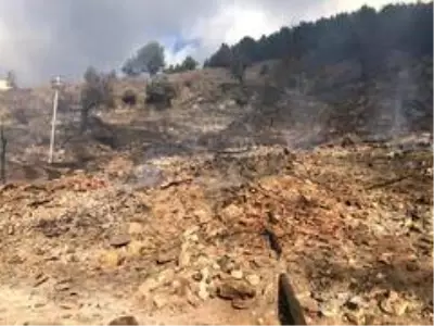 Son dakika haberi: Kastamonu'da köyde yangın