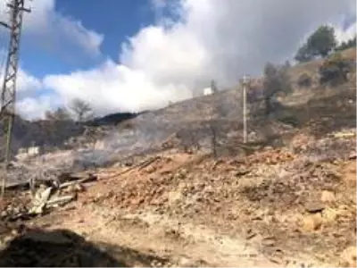 Son dakika haberi: Kastamonu'da köyde yangın