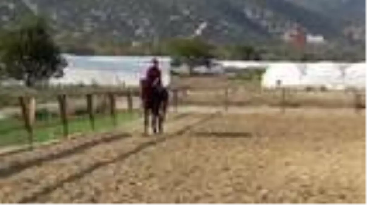 Son dakika haberleri | Atla terapi 4 yaşındaki engelli Ekin'e şifa oluyor