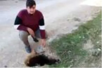 Bolvadin'deki derin yarık ve obruklardan vatandaş tedirgin