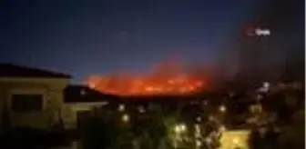 Foça da orman yangını çıktı