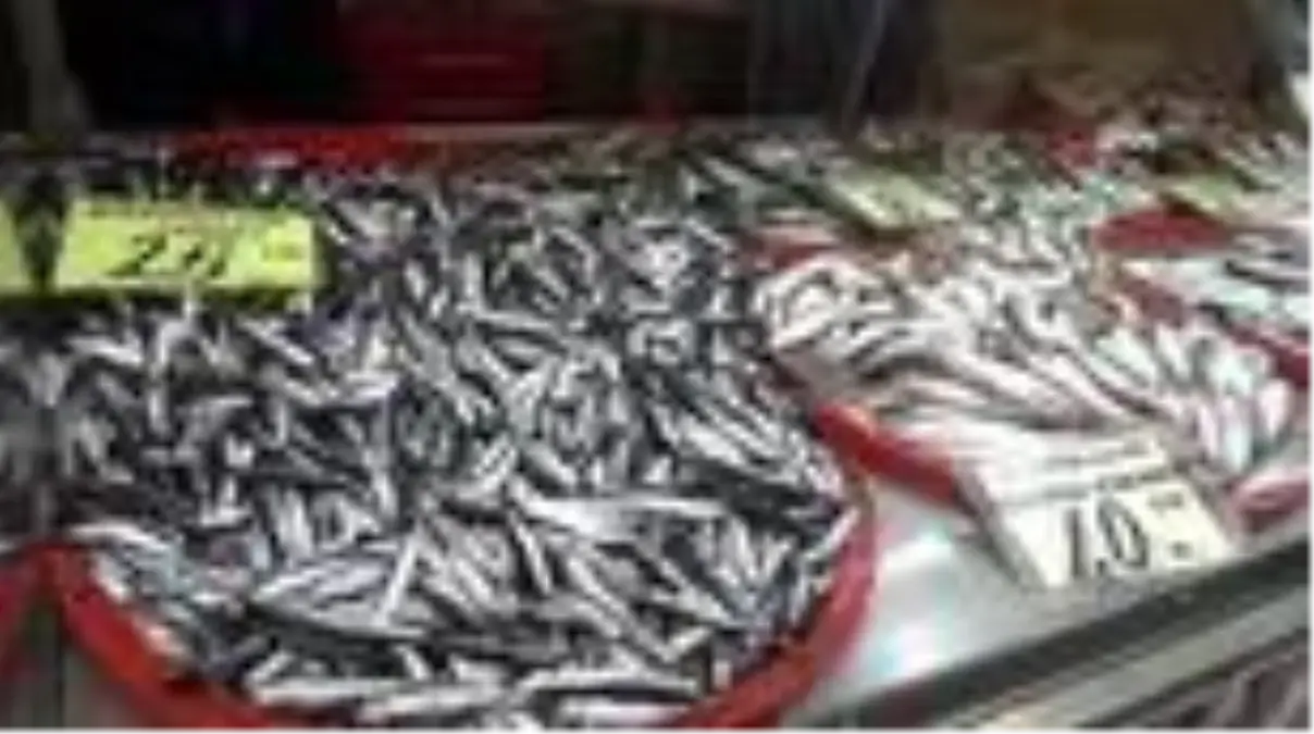 Hamsinin fiyatı yarı yarıya düştü