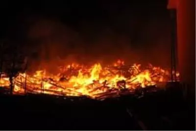 Son dakika haberi: Kastamonu'da köyde yangın