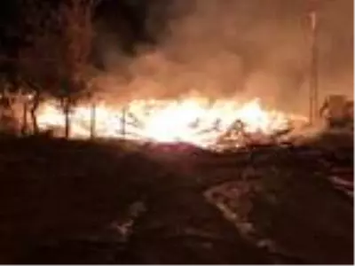 Kastamonu'nun Tepeharman köyünde korkutan yangın: 1 cami ve 10 ev yandı (2)- Yeniden
