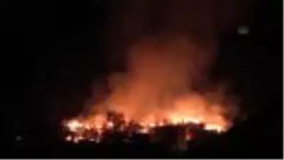 Son dakika haberi: Kastamonu'da köyde yangın