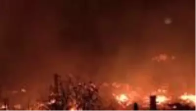 Son dakika haberi: Kastamonu'da köyde yangın