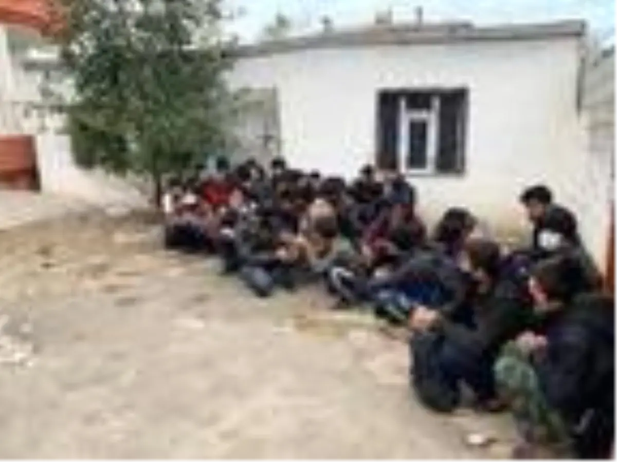Van'da 37 kaçak göçmen yakalandı