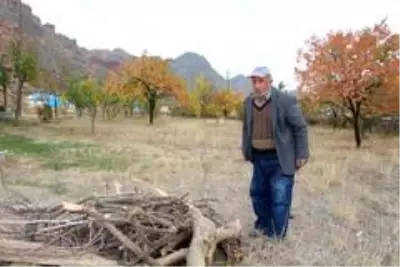 78 yaşındaki adam ıslık çalarak stres atıyor 78 yaşındaki adam ıslık çalarak stres atıyor