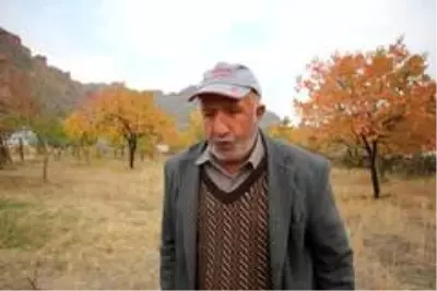 78 yaşındaki adam ıslık çalarak stres atıyor 78 yaşındaki adam ıslık çalarak stres atıyor