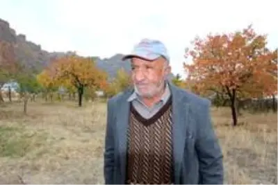 78 yaşındaki adam ıslık çalarak stres atıyor 78 yaşındaki adam ıslık çalarak stres atıyor