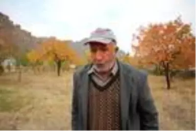 78 yaşındaki adam ıslık çalarak stres atıyor 78 yaşındaki adam ıslık çalarak stres atıyor