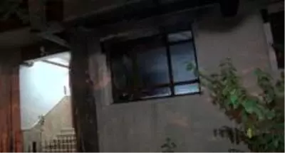 İki kız kardeş evde çıkan yangından kedilerinin verdiği tepki sayesinde kurtuldu İki kız kardeş evde çıkan yangından kedilerinin verdiği tepki sayesinde kurtuldu