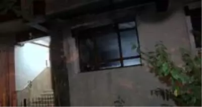 İki kız kardeş evde çıkan yangından kedilerinin verdiği tepki sayesinde kurtuldu İki kız kardeş evde çıkan yangından kedilerinin verdiği tepki sayesinde kurtuldu