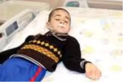 Balkondan düşüp görme yetisini kaybeden Mohammed, hayata tutundu Balkondan düşüp görme yetisini kaybeden Mohammed, hayata tutundu