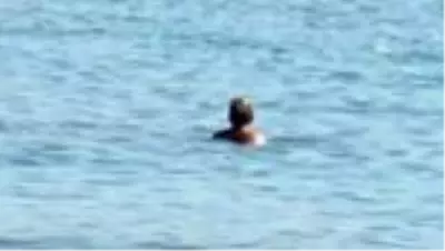 Didim'de kasım ayında deniz keyfi Didim'de kasım ayında deniz keyfi