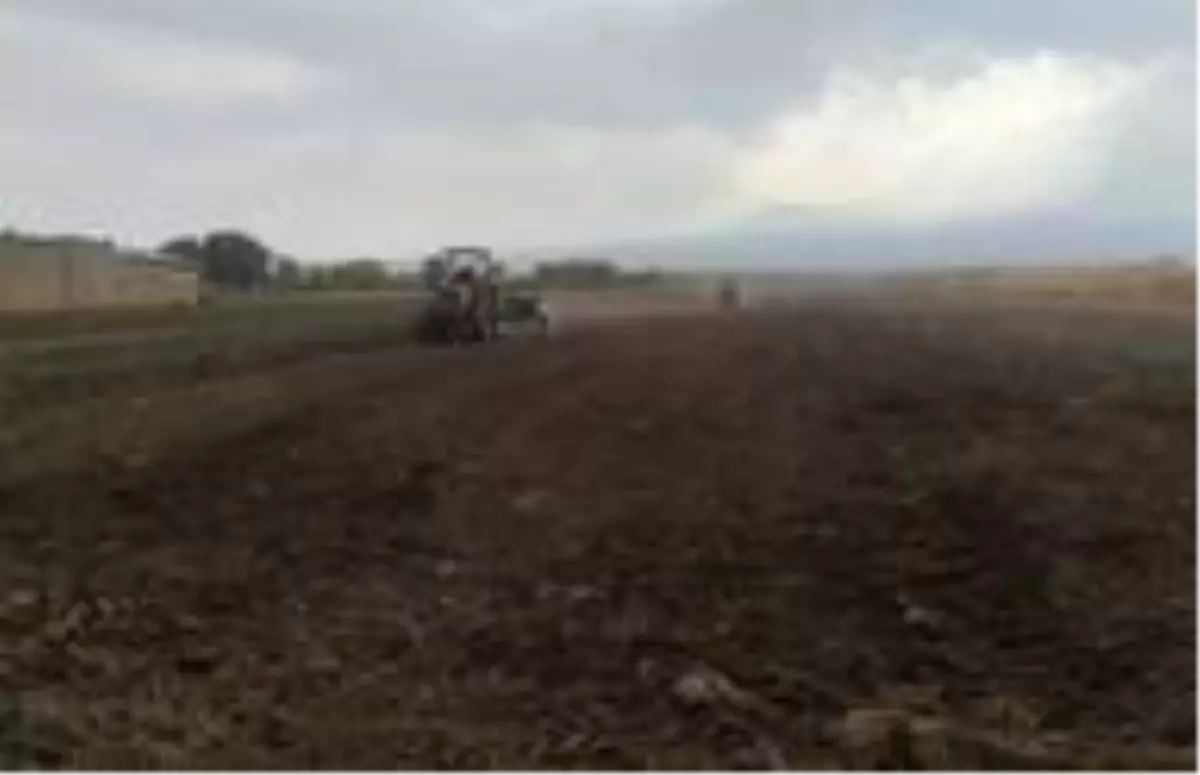 Iğdır'da demonstrasyon çalışmaları kapsamında yüksek verimli buğday ekimi yapıldı