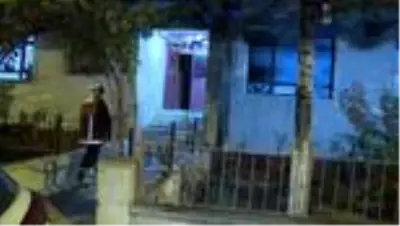 İki kız kardeş evde çıkan yangından kedilerinin verdiği tepki sayesinde kurtuldu İki kız kardeş evde çıkan yangından kedilerinin verdiği tepki sayesinde kurtuldu
