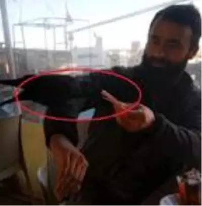 Karganın çay bahçesinde parayı alıp uçma anı kamerada Karganın çay bahçesinde parayı alıp uçma anı kamerada