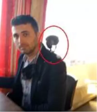 Karganın çay bahçesinde parayı alıp uçma anı kamerada Karganın çay bahçesinde parayı alıp uçma anı kamerada