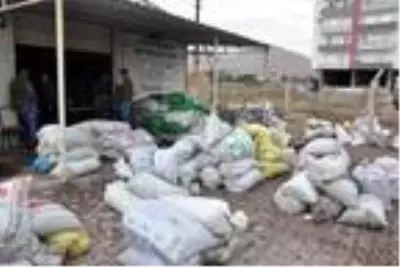 Mardin'de hasadı yapılan zeytin, zeytinyağına dönüştürülüyor Mardin'de hasadı yapılan zeytin, zeytinyağına dönüştürülüyor