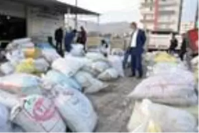 Mardin'de hasadı yapılan zeytin, zeytinyağına dönüştürülüyor Mardin'de hasadı yapılan zeytin, zeytinyağına dönüştürülüyor