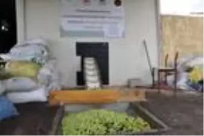 Mardin'de hasadı yapılan zeytin, zeytinyağına dönüştürülüyor Mardin'de hasadı yapılan zeytin, zeytinyağına dönüştürülüyor