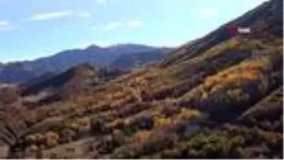 Tunceli'de 'Kar ve sonbahar' görsel şölen sundu Tunceli'de 'Kar ve sonbahar' görsel şölen sundu