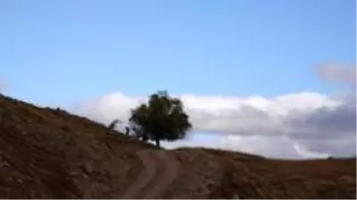 Tunceli'de 'Kar ve sonbahar' görsel şölen sundu Tunceli'de 'Kar ve sonbahar' görsel şölen sundu