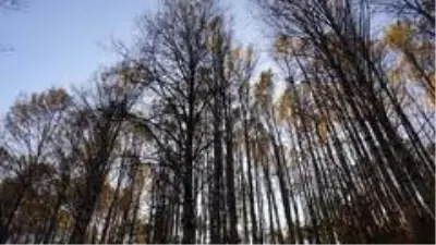 Tunceli'de 'Kar ve sonbahar' görsel şölen sundu Tunceli'de 'Kar ve sonbahar' görsel şölen sundu