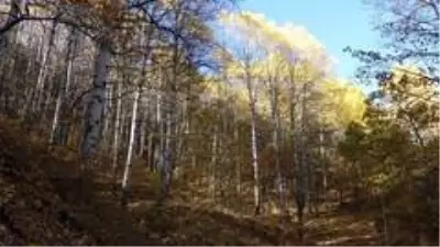 Tunceli'de 'Kar ve sonbahar' görsel şölen sundu Tunceli'de 'Kar ve sonbahar' görsel şölen sundu