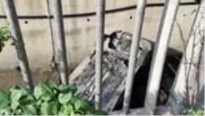 Bağcılar'da dereye yuvarlanan otomobilin sürücüsü yaralandı Bağcılar'da dereye yuvarlanan otomobilin sürücüsü yaralandı