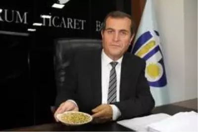 Çorum'da soya fasulyesi üretiminin teşvik edilmesi ve destek verilmesi için çağrı Çorum'da soya fasulyesi üretiminin teşvik edilmesi ve destek verilmesi için çağrı