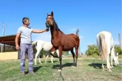 Mezitli Belediyesinin 'Mutlu Yaşam Köyü' projesinde sona gelindi Mezitli Belediyesinin 'Mutlu Yaşam Köyü' projesinde sona gelindi