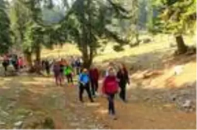 Osmaniye'de sonbahar güzelliği