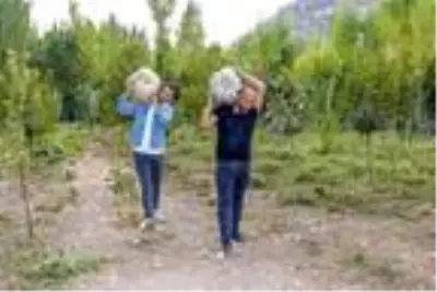 Şehir hayatından sıkılıp döndüğü memleketinde, dev kabaklar yetiştiriyor