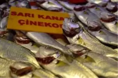 Taze çinekop tezgahta Taze çinekop tezgahta