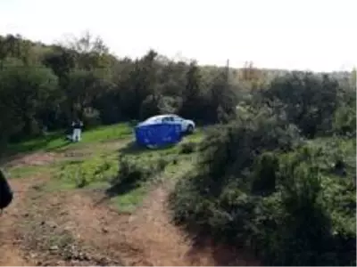Tuzla'da ormanlık alanda erkek cesedi bulundu Tuzla'da ormanlık alanda erkek cesedi bulundu