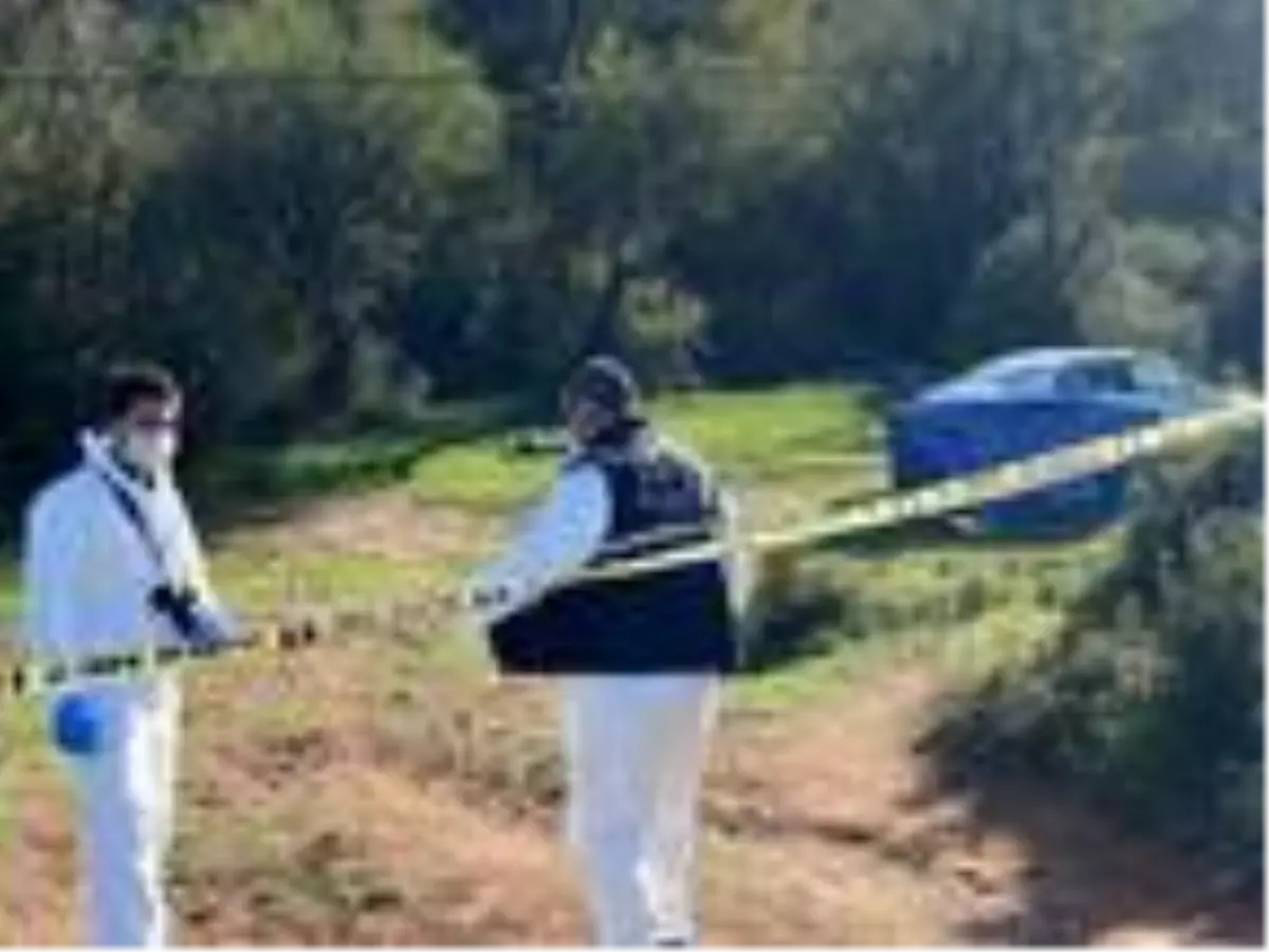 Ormanlık alanda korkunç olay! Darbedilerek öldürülmüş cansız beden bulundu