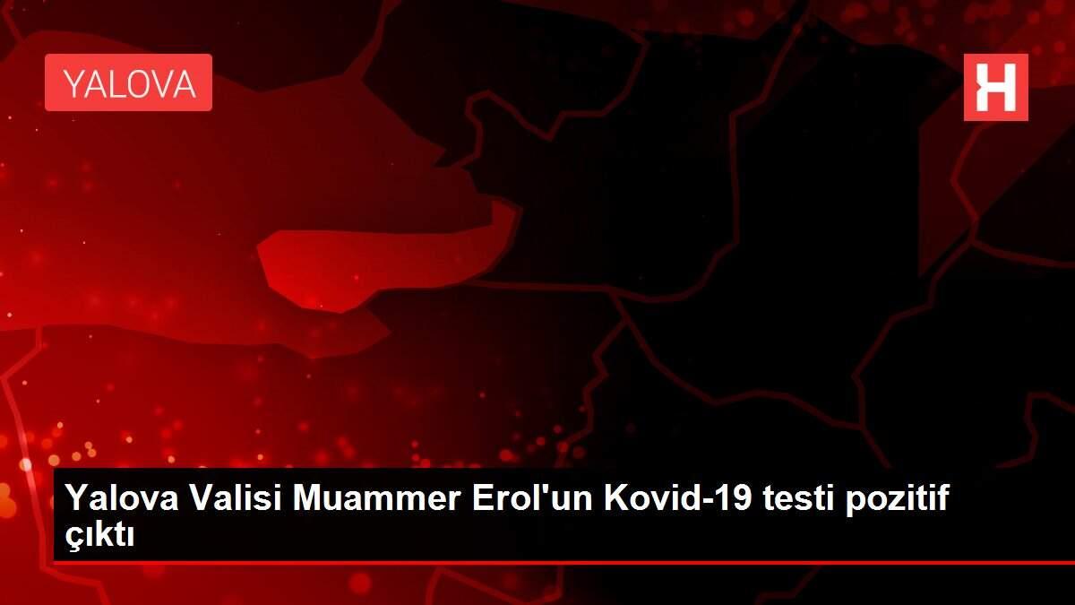 Yalova Valisi Muammer Erol'un Kovid-19 testi pozitif çıktı Yalova Valisi Muammer Erol'un Kovid-19 testi pozitif çıktı