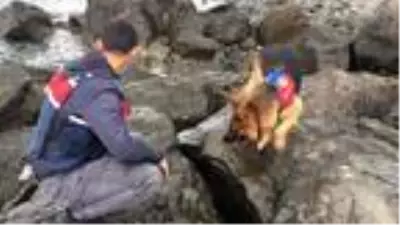 Artvin'de 4 gün önce kaybolan 31 yaşındaki kişi, aranıyor Artvin'de 4 gün önce kaybolan 31 yaşındaki kişi, aranıyor