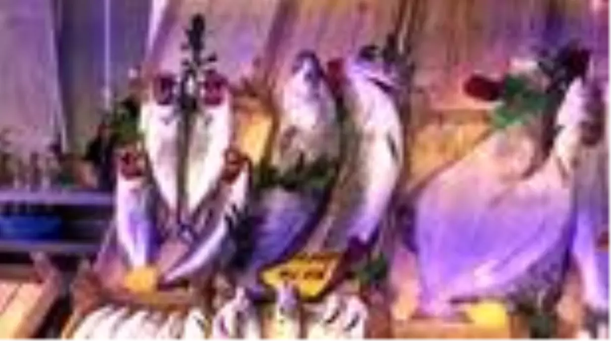 Bu yıl palamut cep yakıyor